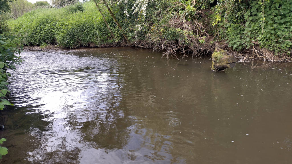 Photo of the Pylon pool